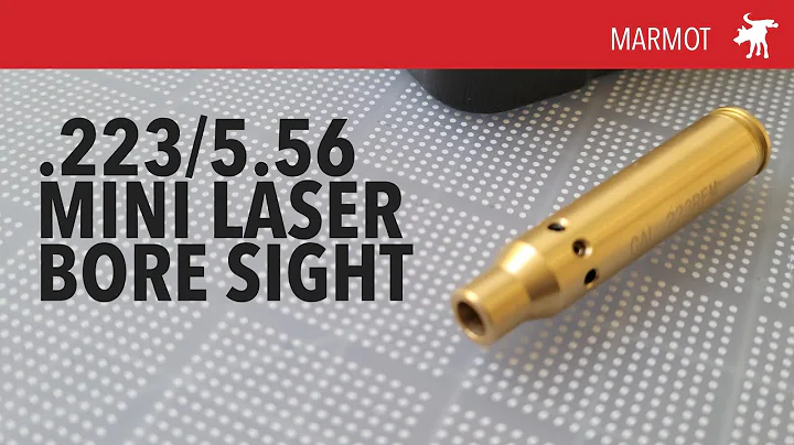 .223/5.56 Laser Bore Sight Tool
