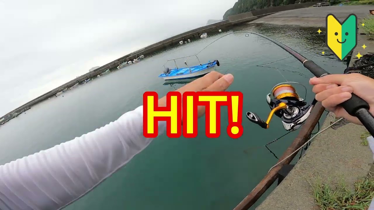 第21話　2回の釣行でイガミ1匹アオリイカ1杯小でした。【During the two fishing trips, we caught one Japanese sea bass and one s