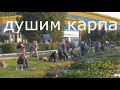 Душим карпа в городском пруду!!!