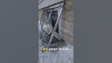 🏠 Enhance Safety and Style with Custom Window Well Covers! 🛡️