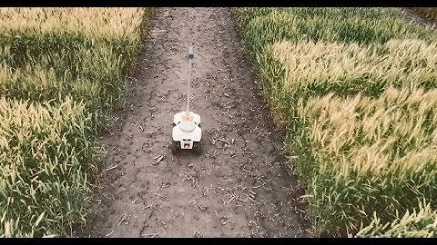 Modern agriculture: Robots and artificial intelligence in plant breeding | KWS World of Farming