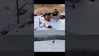 Deer hunting long range perfect shot #deerhunting #hunting #huntinglife #охота #outdoors #wildlife