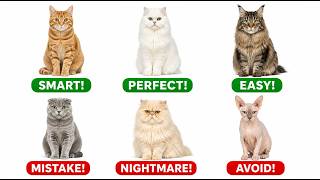 5 Cat Breeds DUMB People Buy And 3 Breeds You ACTUALLY Want