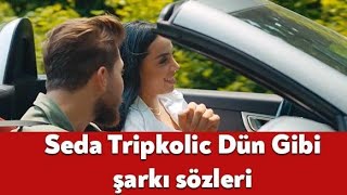 Seda Tripkolic - Dün Gibi