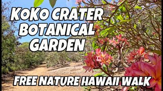 Koko Crater Botanical Garden in Hawaii Kai | Free Nature Hawaii Walk | Plumeria Grove