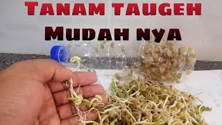 Keperluan Asas Tumbuhan - Sains tahun 2