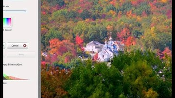 How to correct an over-exposed photo: Picasa Tutorial No.4