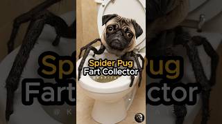 SPIDER PUG SCARED OF SPIDER CHIHUAHUA #shorts #short #creepy #funnyshorts #pug