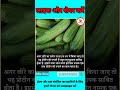🥒🥒 खीरे का प्रयोग 🥒🥒#cucumber #shorts #khira #healthtips #viral #drxkunj #reels #trending #trand