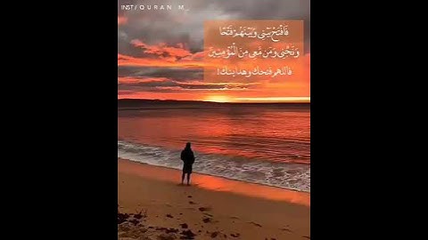 تلاوة صباحية بصوت رائع    أجمل حالات واتس قرأن