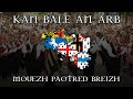 Kan bale an arb  mouezh paotred breizh slowed down to perfection  sub fr  en translation in desc