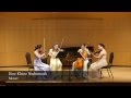 Mozart - Eine Kleine Nachtmusik by Ivy String Quartet