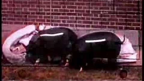 egg/cause and effect