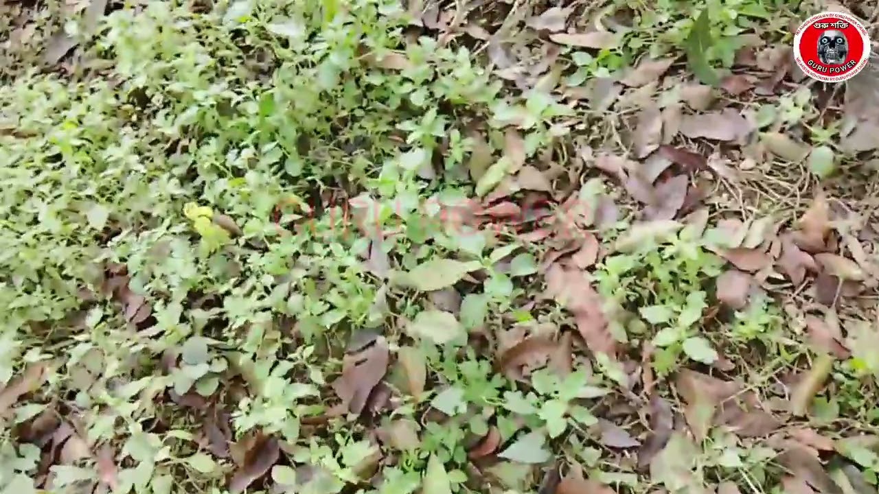 যেসব জিনিসে পাচমিনিটে কাজ হয়/চিনে রাখুন কাজে আসবে/01747757518