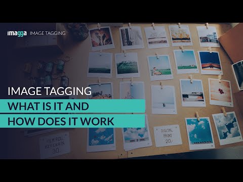 Image Tagging | What Is It and How Does It Work?