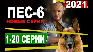 Смотреть Фильм Пес 2022 Года Новые