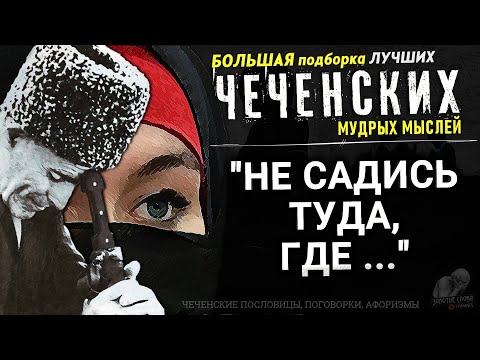 Лучшие Чеченские Мудрые Мысли, Афоризмы И Цитаты, Большая Подборка Поговорок И Пословиц