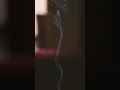 If you burn incense before bed in a closed room,…