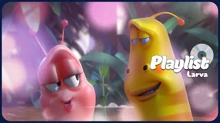 funky groovelarva playlist