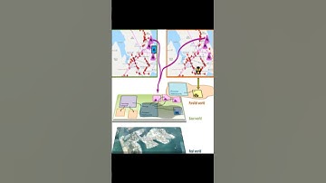 Universal Digital Twin - A Dynamic Knowledge Graph | RTCL.TV