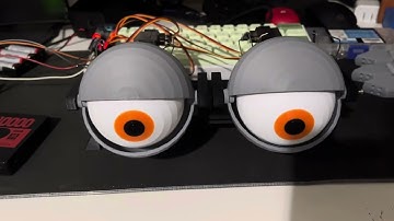 Irl Fnaf Animatronic Eyes