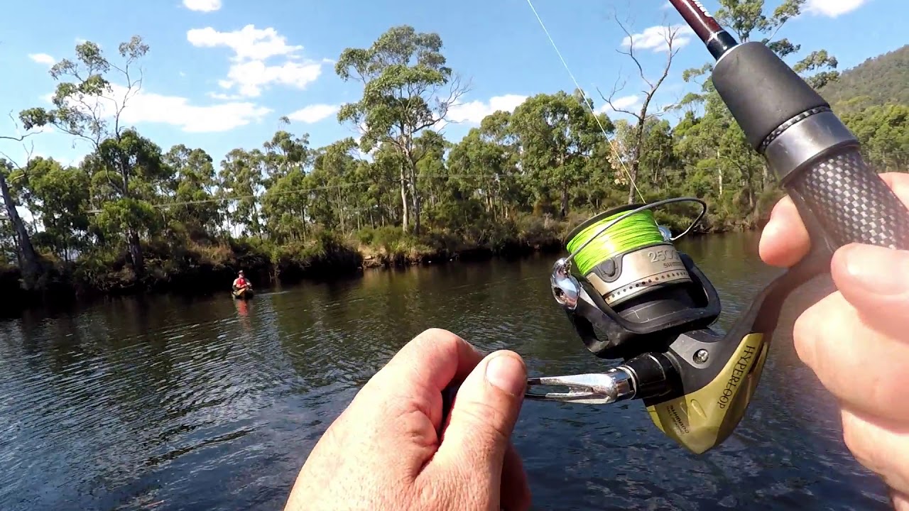 Surprise catch in the Huon River