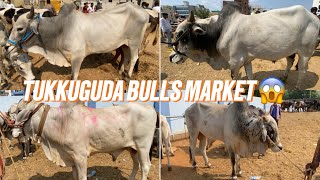 TUKKUGUDA BULLS MARKET FULL EXPLORE 😱 | BIGGEST BULLS MARKET | #bullsmarket #sastebulls #2026 #viral