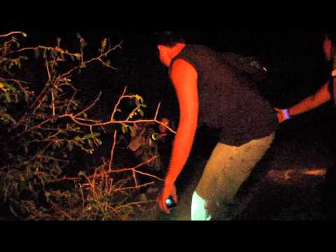 נוער עמק המעיינות - טיול ירח מלא