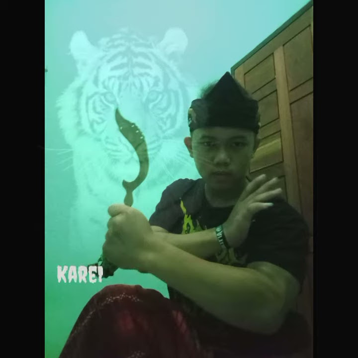 Story WA keren II Harimau Siliwangi