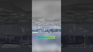 Your Skin After Skin Booster Injections The Glow-Up Journey Begins