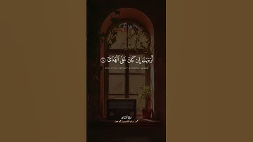 أَلَمْ يَعْلَم بِأَنَّ اللَّهَ يَرَىٰ | سورة العلق | الشيخ محمد صديق المنشاوي
