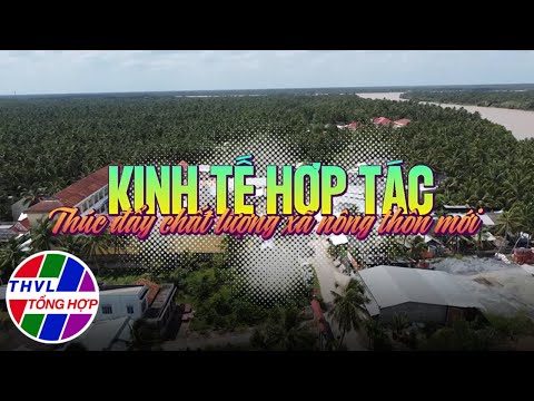 Nông thôn ngày nay: Kinh tế hợp tác thúc đẩy chất lượng xã nông thôn mới