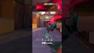 Radiant Clean Aim