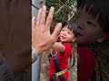 Chester's First Escape Park Adventure: Challenges for the First Time!