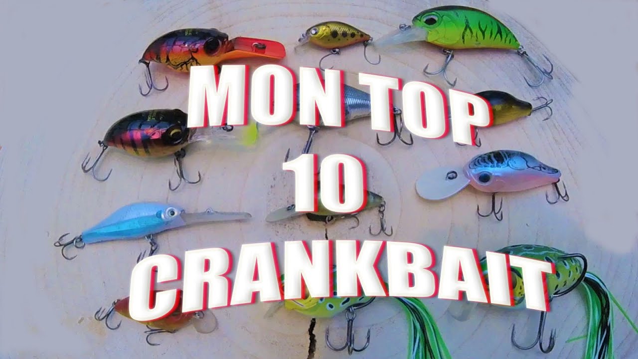 Top 10 Crankbait Ouverture Carnassier 2021 YouTube