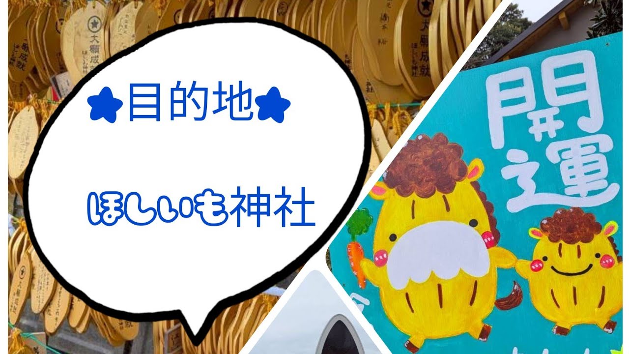 ［2倍速］くじらの大ちゃん〜ほしいも神社まで★