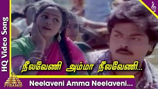 Neelaveni Amma Neelaveni Video Song | Sami Potta Mudichu Tamil Movie Songs | Murali | Sindhu