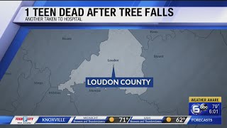 1 teen dead, another injured after tree falls in Loudon County