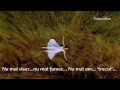 Lara Fabian -  Je suis malade (subtitrare româna)