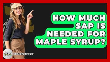 How Much Sap Is Needed For Maple Syrup? - The Midwest Guru