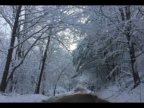 Video: Har det någonsin snöat i Karibien?