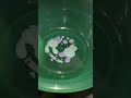 Plastic basin injection molding machine #machine #manufacturing