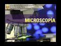 Microscopía