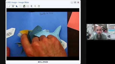 Pop-Ups: Double V-Fold Shark