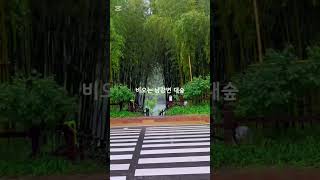 #비소리asmr #소리크게