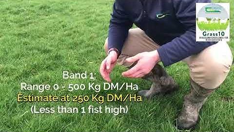 Measure Grass in 5 Minutes
