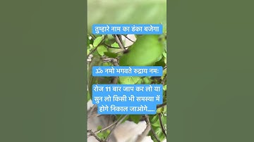 हर हर महादेव#shiva #om #shivbhakti #mahadev #totka #shivmahapuran #puja #bhakti #pradeepmishraji