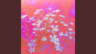 Soft Again screenshot 4