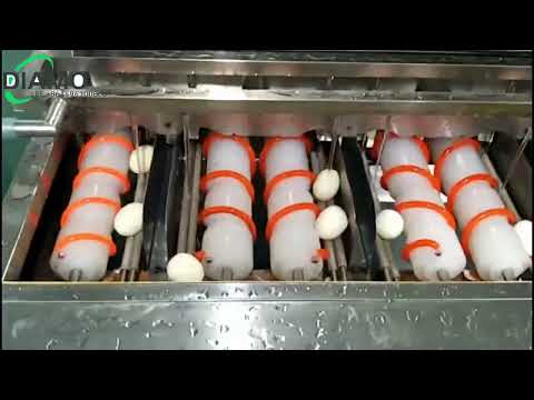5000eggs_h factory supply hard boiled egg peeler peeling machine video