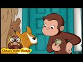 Curioso Come George 🐵 Contatore di cani 🐵Cartoni per Bambini